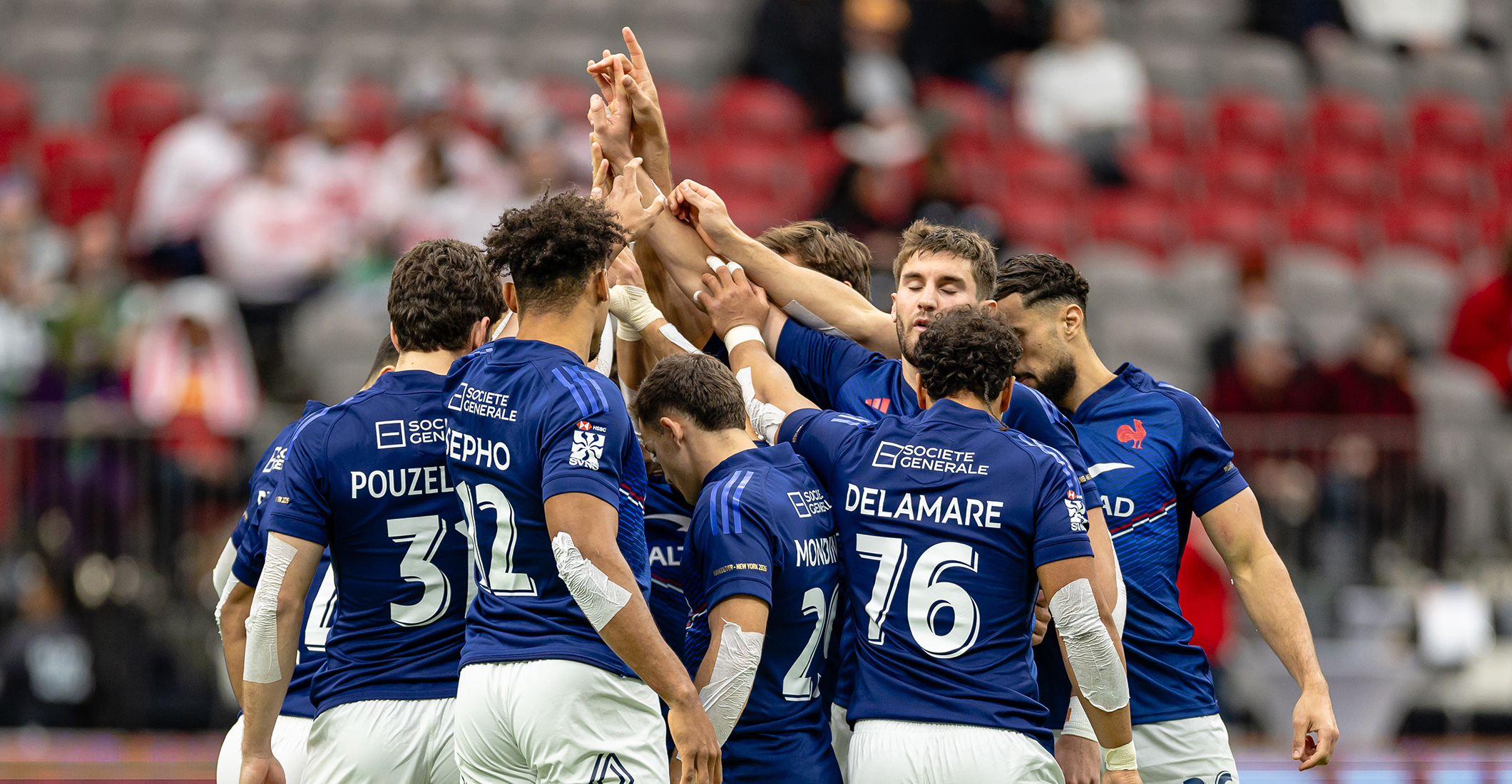 Les poules pour New York 